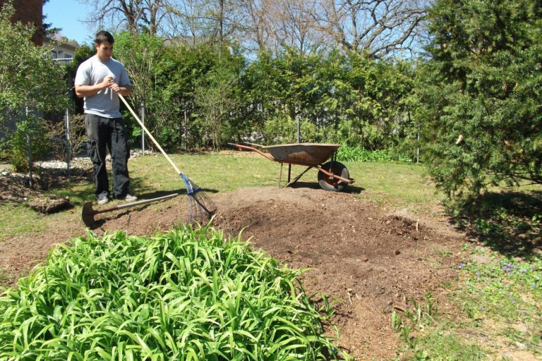 A Look At Various Ways To Perform Lawn Seeding Quantico Creek Sod Farms