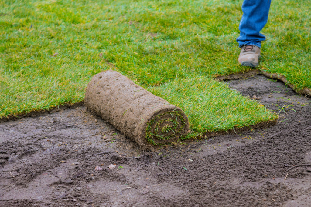 Choosing the Best Grass for Your Lawn Quantico Creek Sod Farms