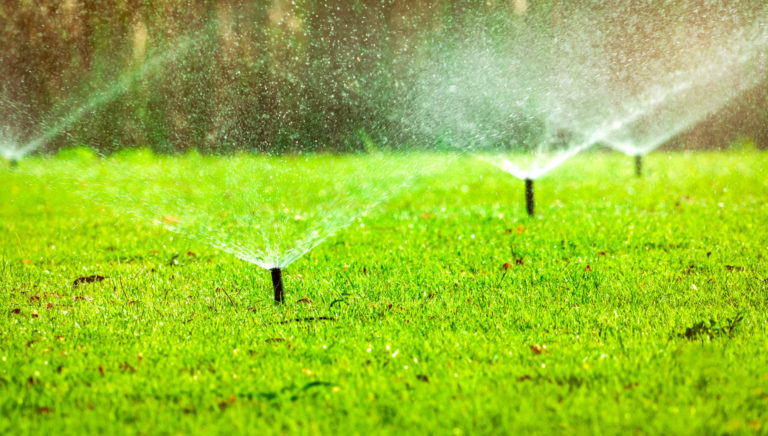 Basic Guidelines for Watering New Sod - Quantico Creek Sod Farms