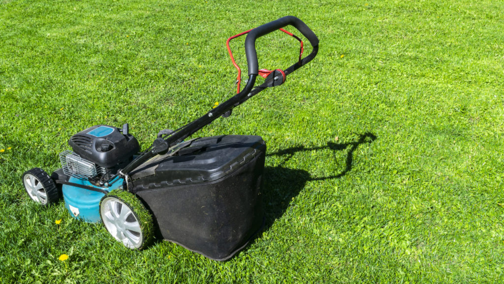 Tips for Better Lawn Mowing quantico creek sod