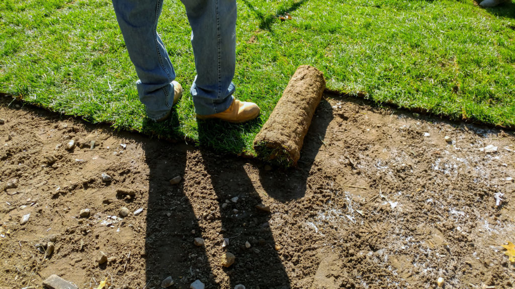 Laying Sod in the Summer quantico creek sod