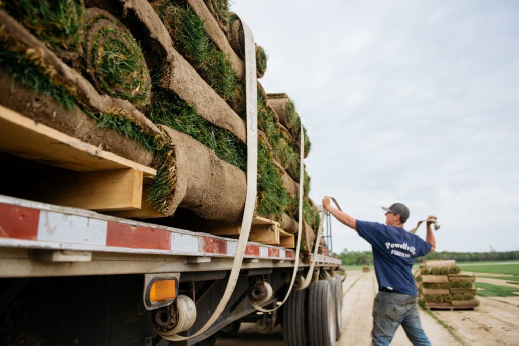 Does Your Yard Need New Sod? quantico creek sod