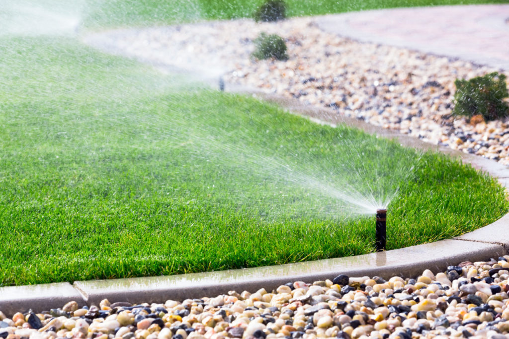 How to Know When You’re Overwatering Your Sod quantico creek sod