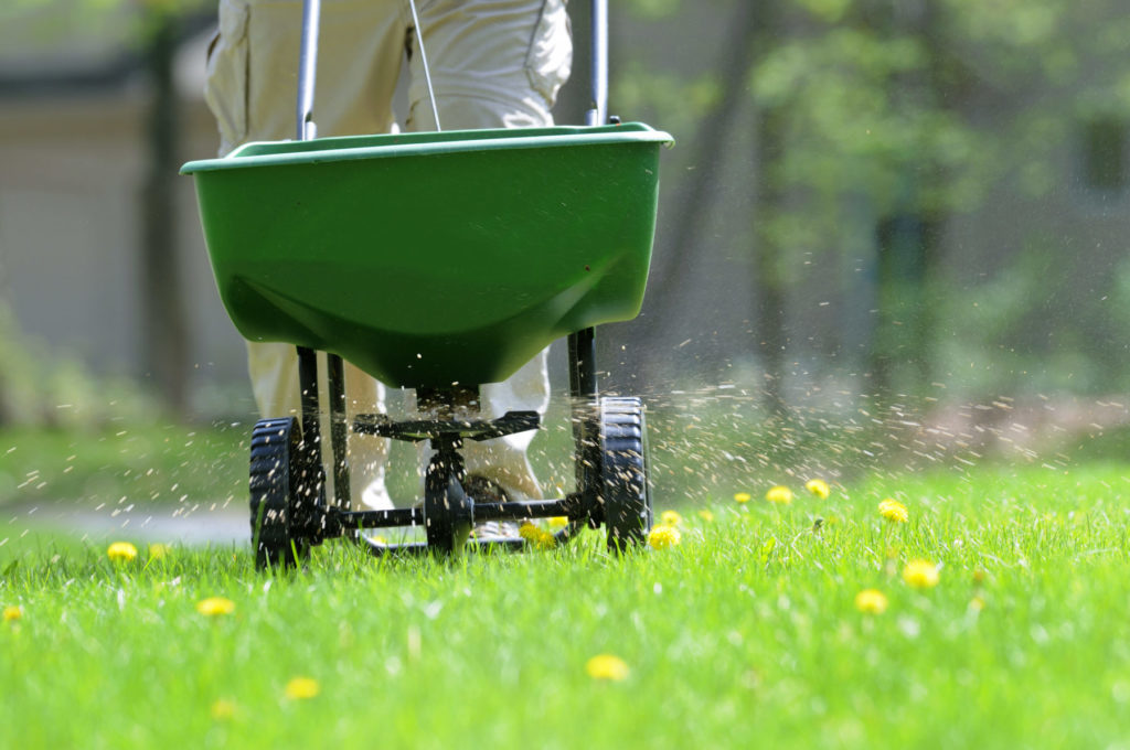 The Benefits of Fertilizing Your Lawn quantico creek sod